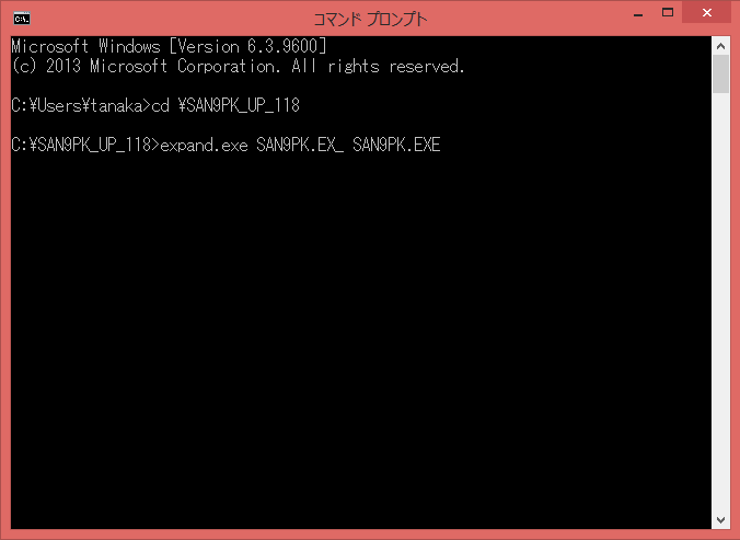 コマンドプロンプト入力例1